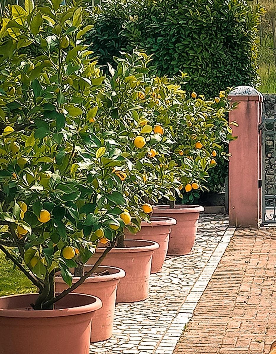 Casa Vacanze Monte Villa - Housity