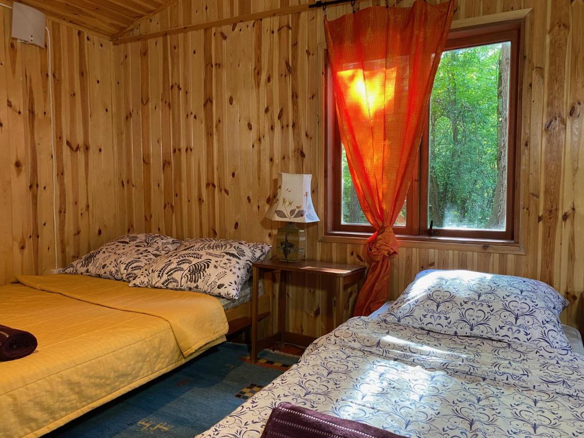 Przytulny domek w lesie blisko rzeki - Housity