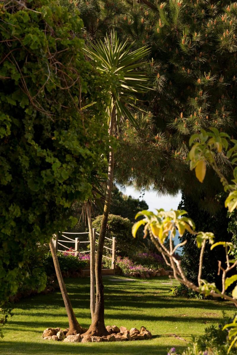 Um jardim no exterior de PortoBay Falesia