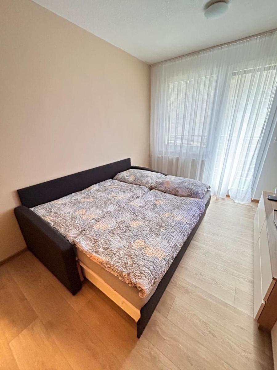 Apartmán na kraji lesa Všemina - Housity