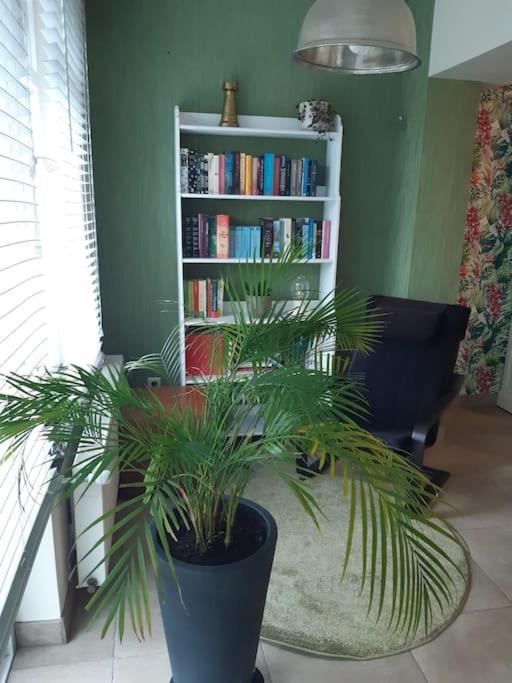 Our Lily House, een gezellig familiehuis in rustige omgeving - Housity