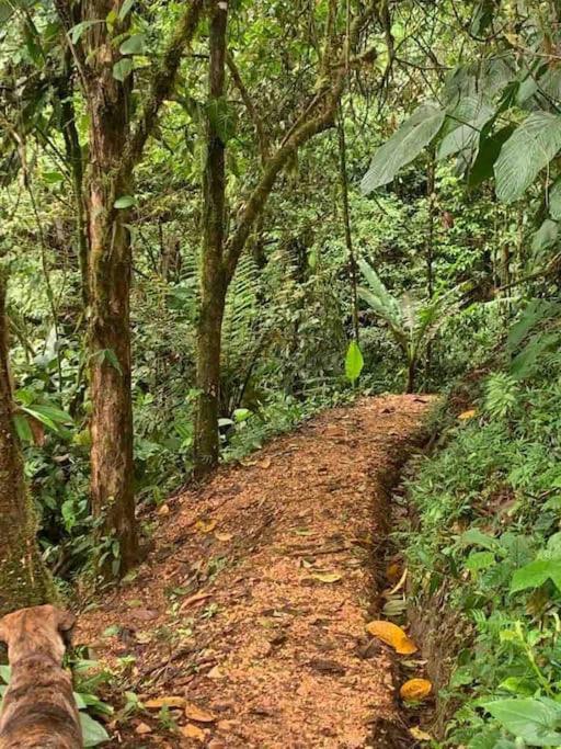 Shanti hOMeCasadePaz Feel Mother Nature's Embrace - Housity