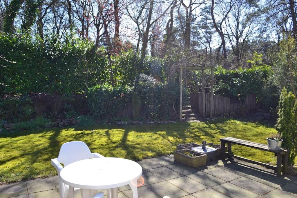 chalet Klein Vechtdal - Housity