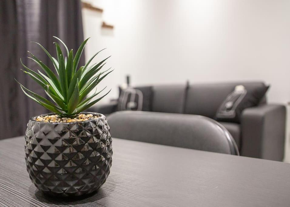 Petit Studio Cosy Part-Dieu - Housity