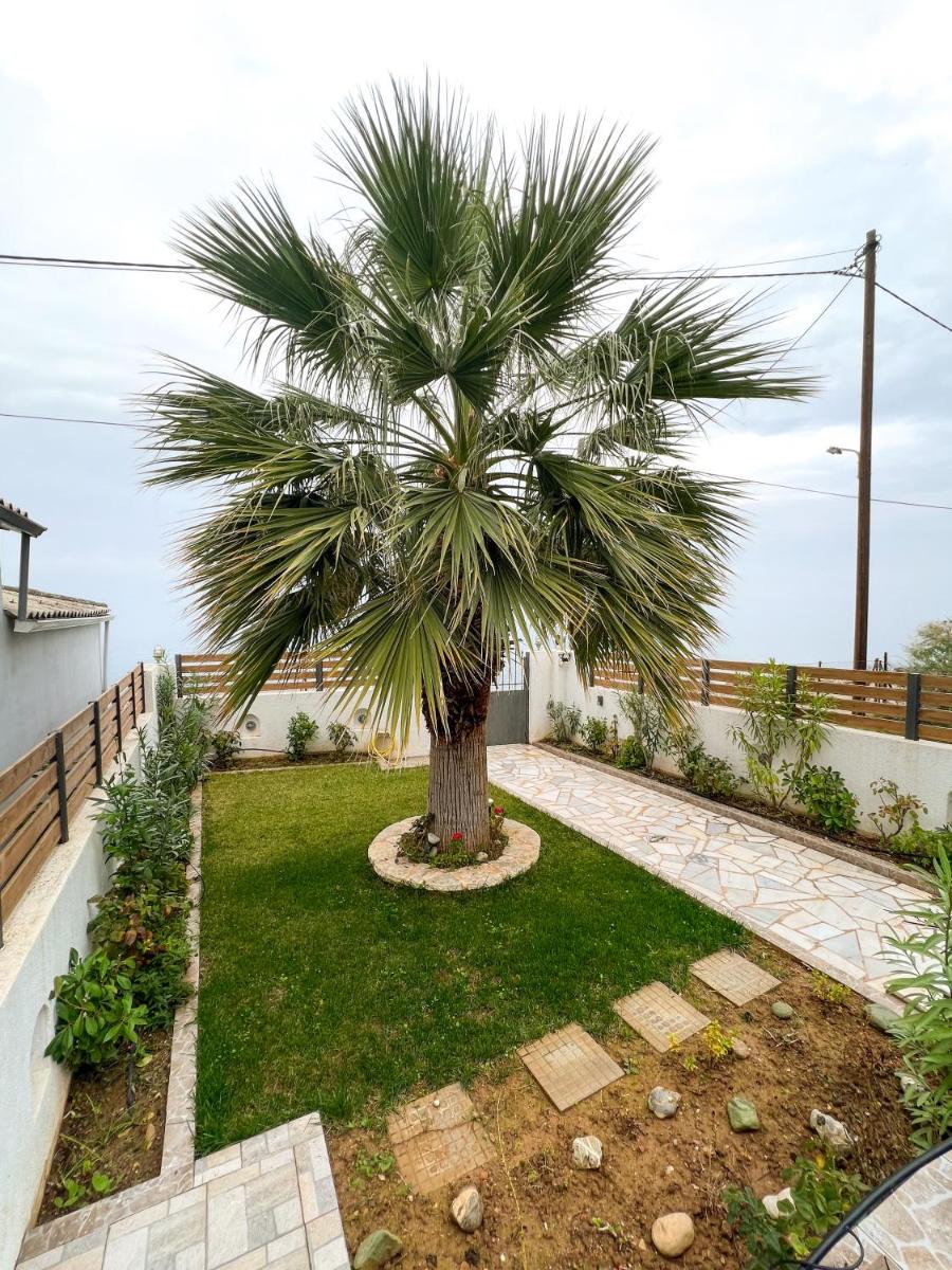 Galini Studios Paralia Platanou - Housity