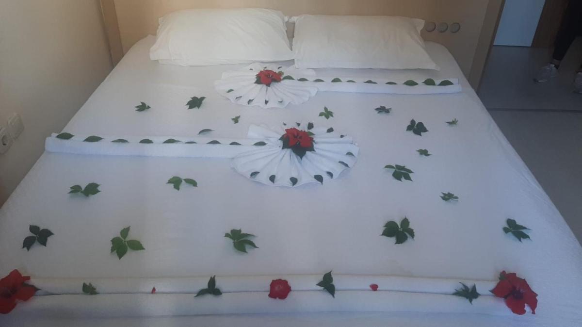 S?DE PAPAYA HOTEL - Housity