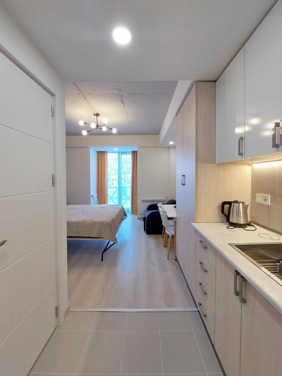 Bakuriani Mix Apartment 207 - Housity
