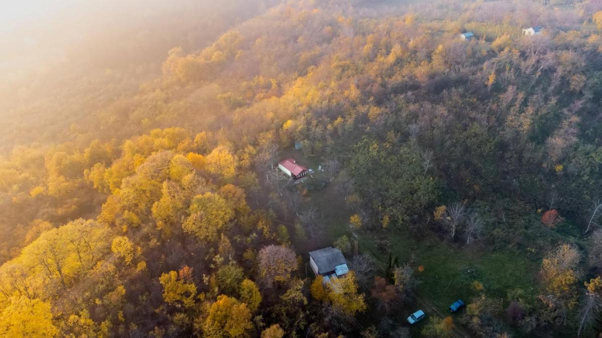 Holiday home Nanin konak 2 - Hizvo