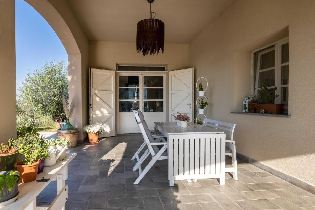 The Olive Grove in Tuscany - Housity