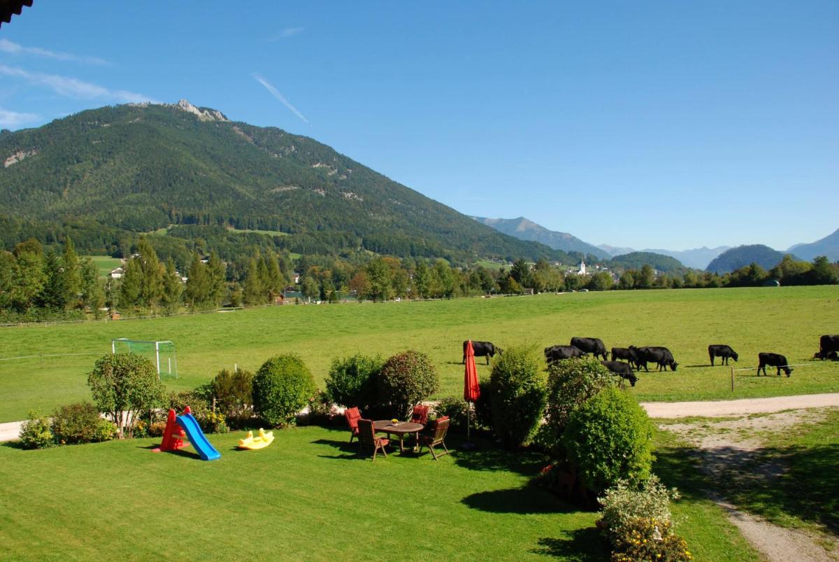 Plombergbauer - Housity