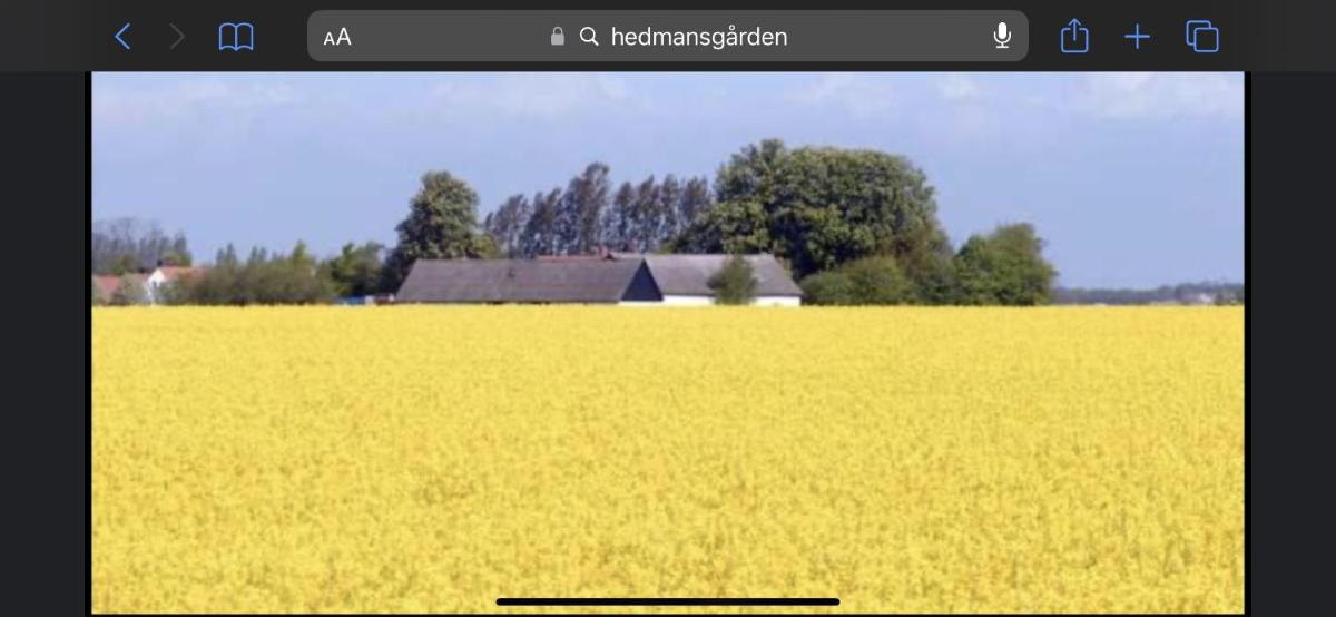Hedmansgårdens basement apartment - Housity