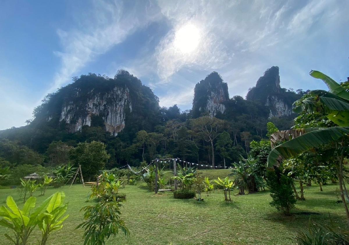 Cosy Garden Khao Sok - Housity