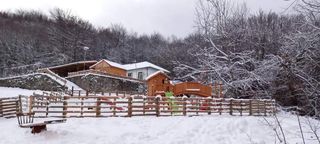 Bonsovi Poliani Hut (хижа Бонсови поляни) - Housity