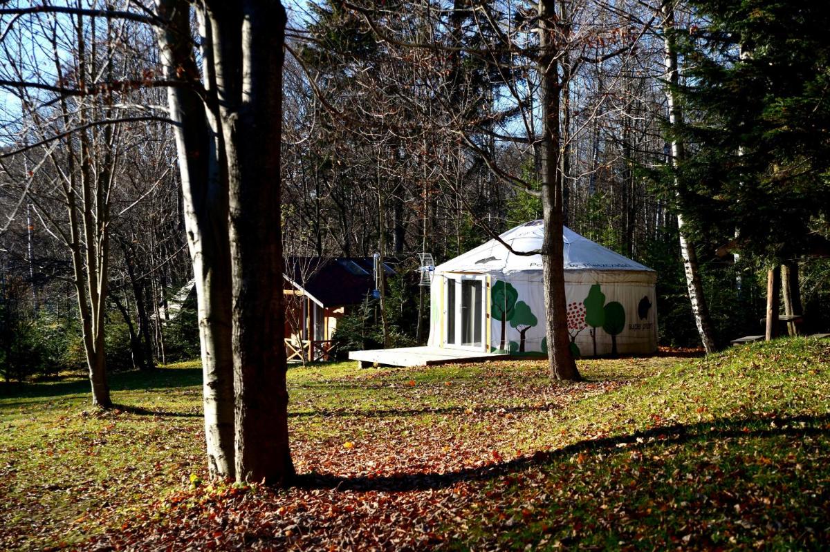Glamping Dolina - Housity