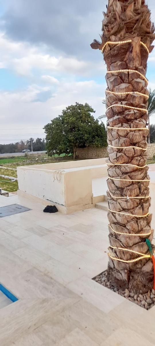 فيلا زهره تونس_zahrat Tunis Villa - Housity