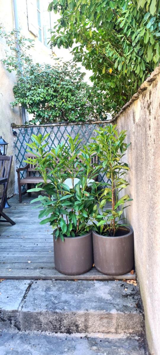Le petit cocon de Chateau Chalon - Housity