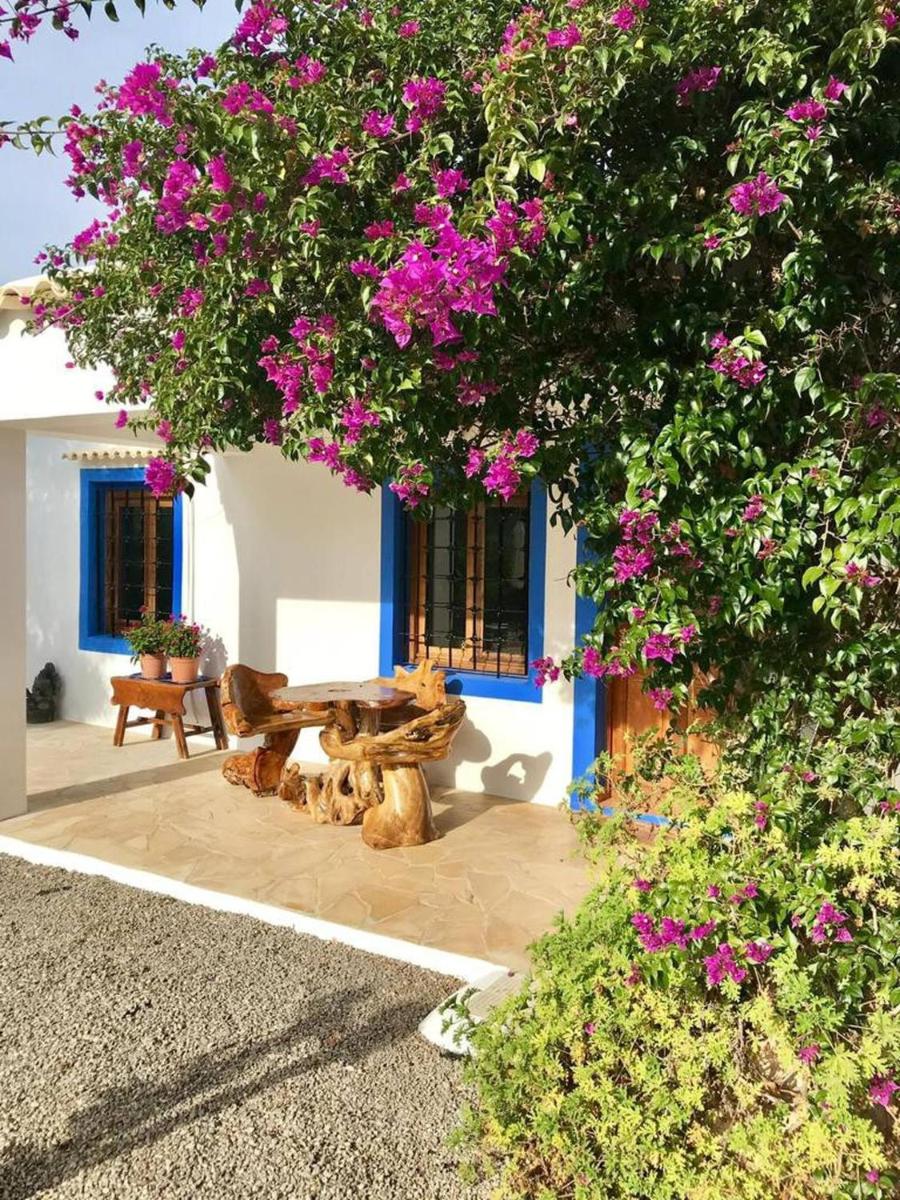 Suitetrails - Ibiza, Rustic Country House With Swimming Pool