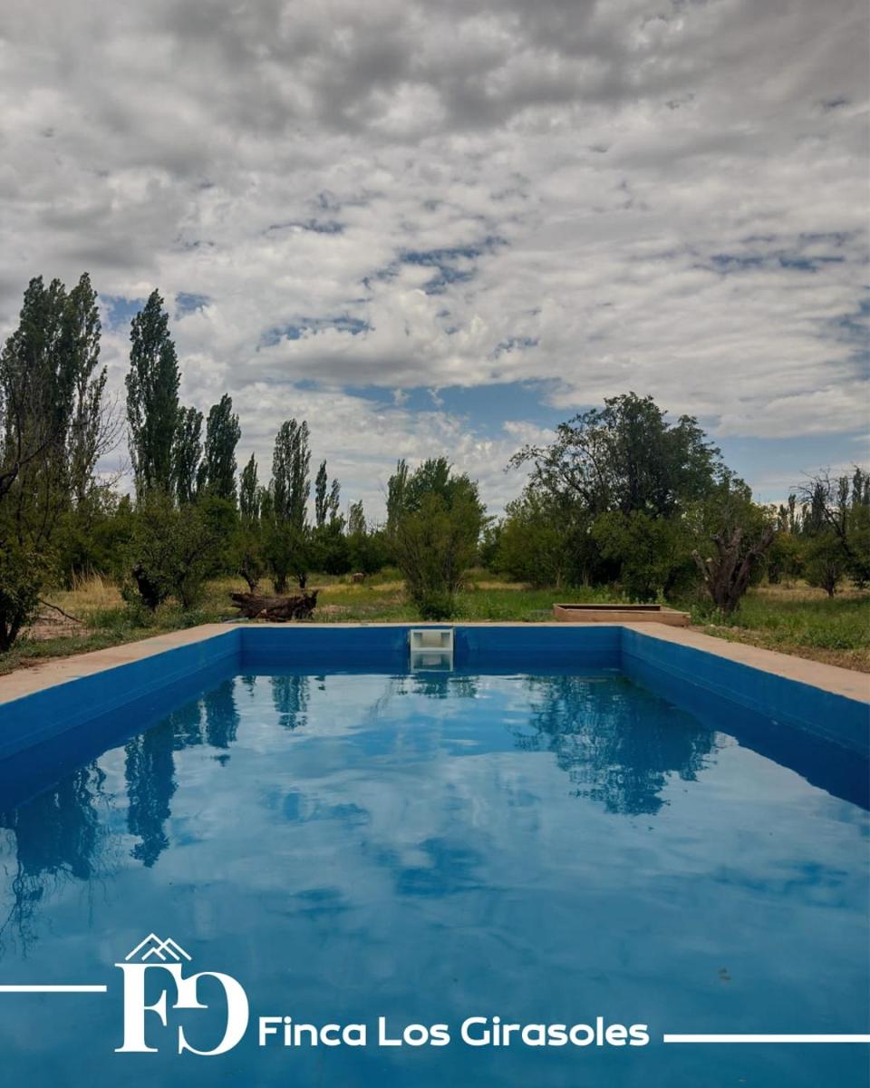 Alojamiento Finca Los Girasoles - Housity