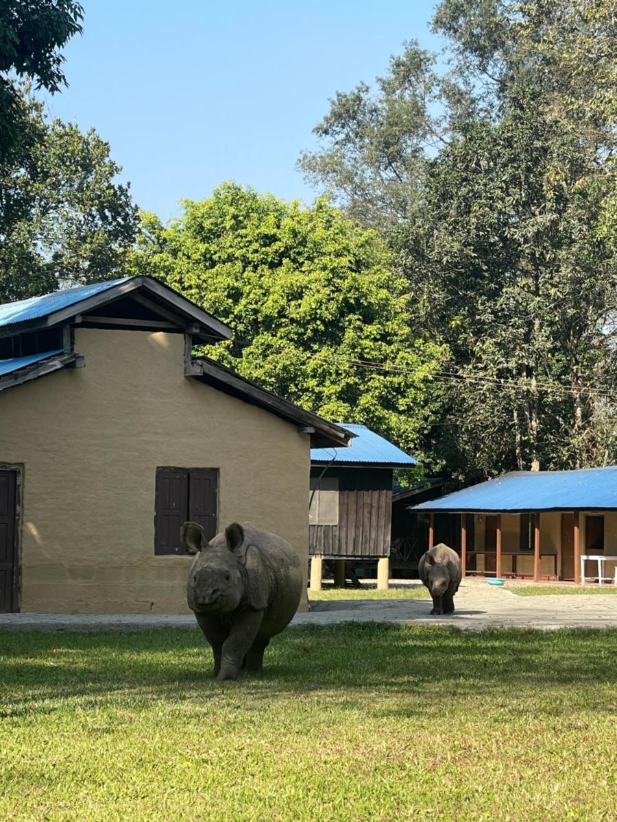 Shanti home - Housity