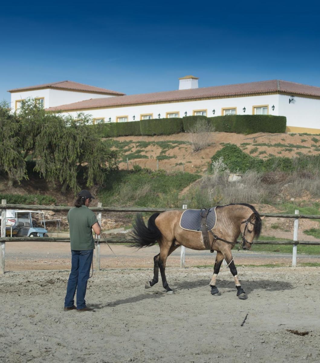 Animais no hotel ou nos arredores