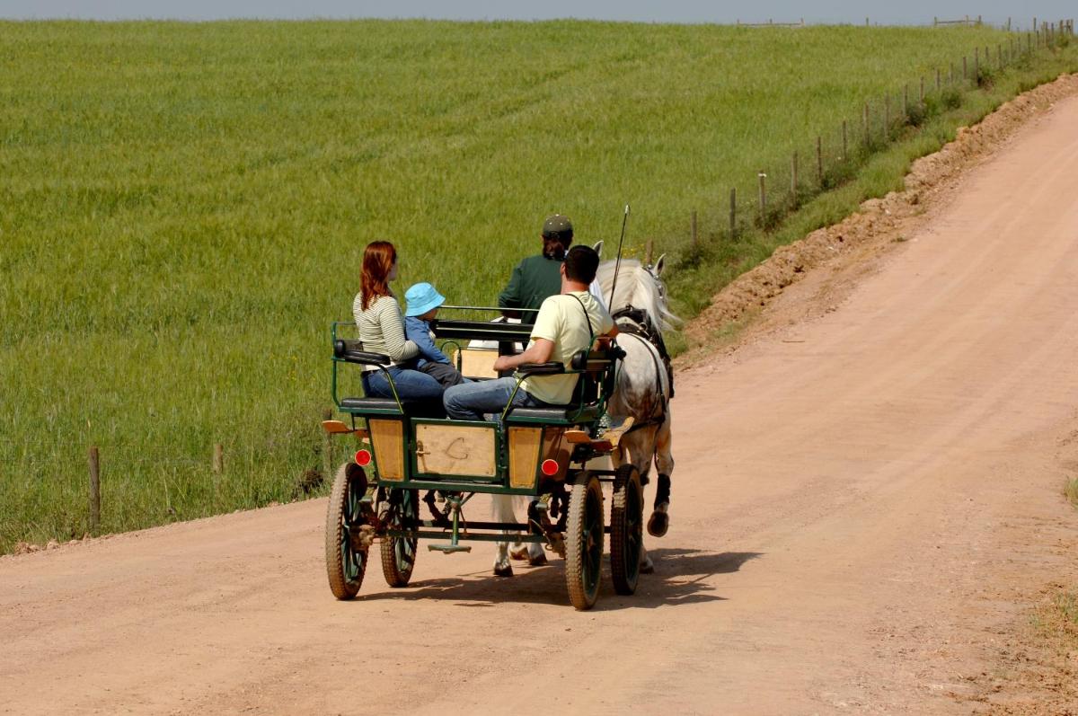 Os clientes hospedados em Vila Gale Alentejo Vineyard - Clube de Campo