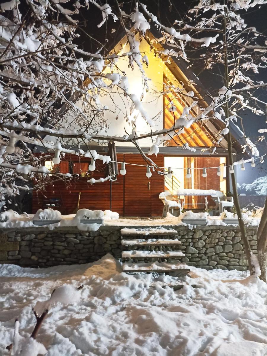 Forest house - Housity