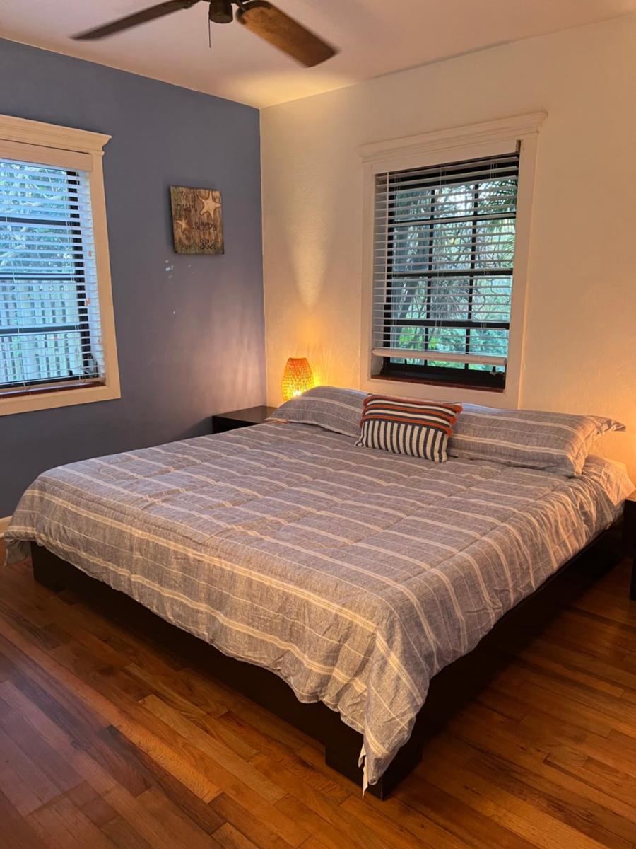 Charming and unique home with Tropical & hidden yard! - Housity