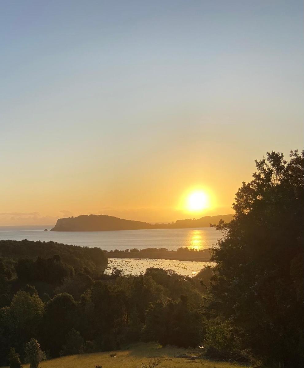 Cabaña estero Huite - Housity