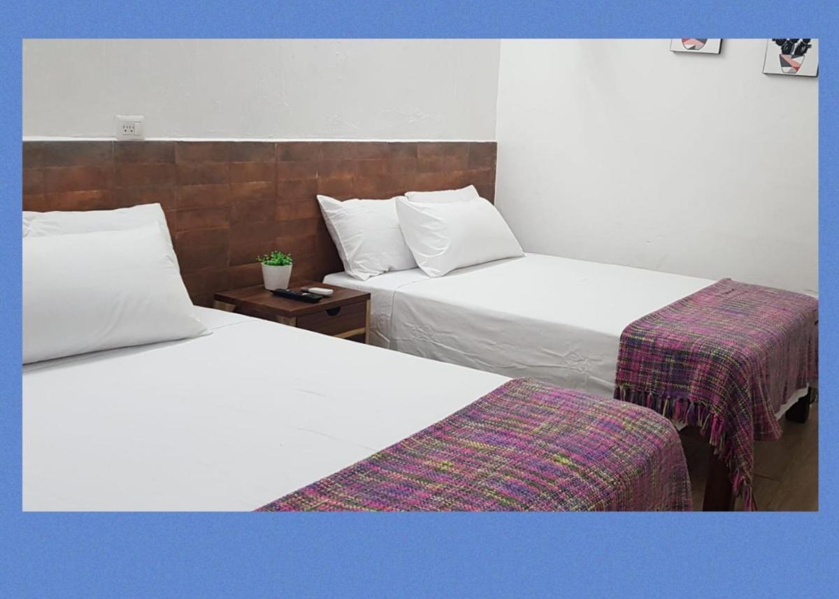 La Casa del Budita - Housity