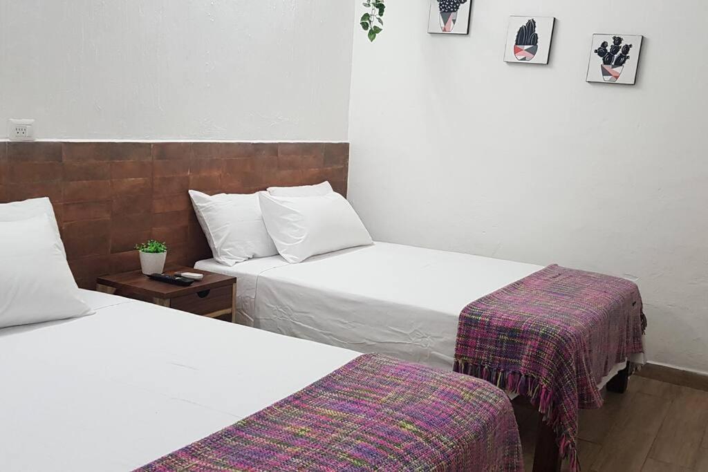 La Casa del Budita - Housity