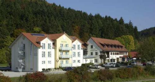Hotel Seltenbacher Hof - Housity