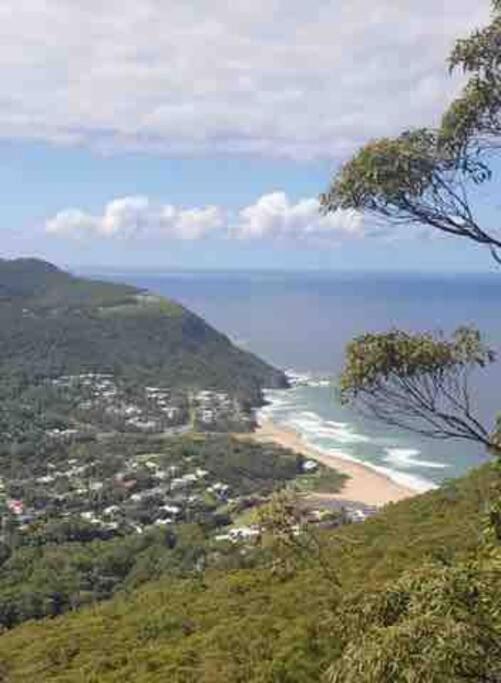 Beach to Bush - Housity