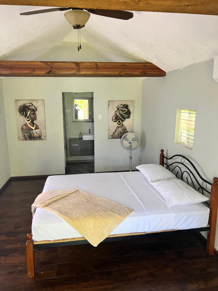 Jamaica Colors Hotel and Eco-Retreat - Housity