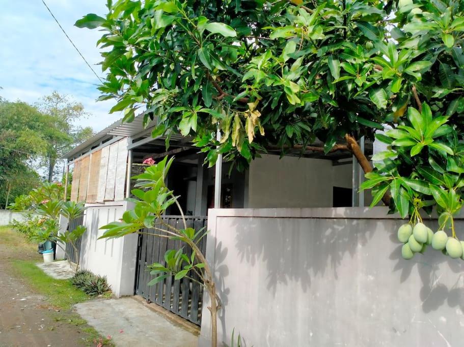 Colomadu Cozy Home - Housity