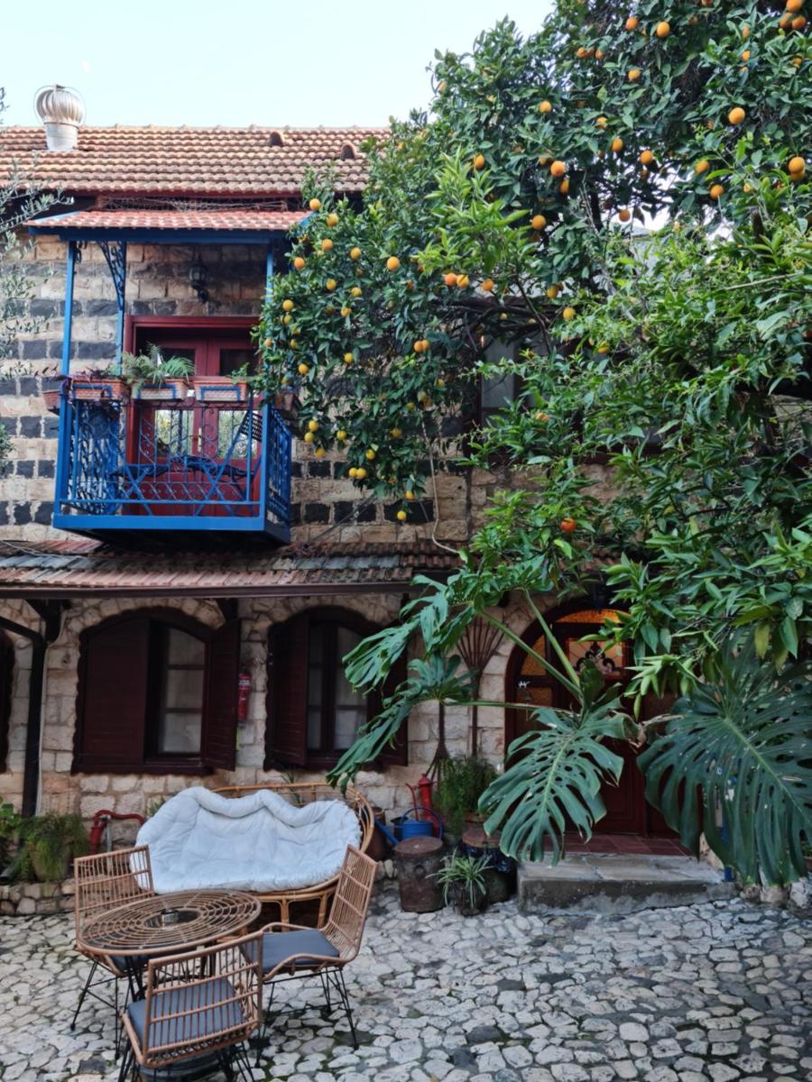 וילה תהילה המחודש - The new Villa Tehila - Housity