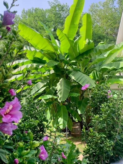 Maison Nature & Rivière au calme - Housity