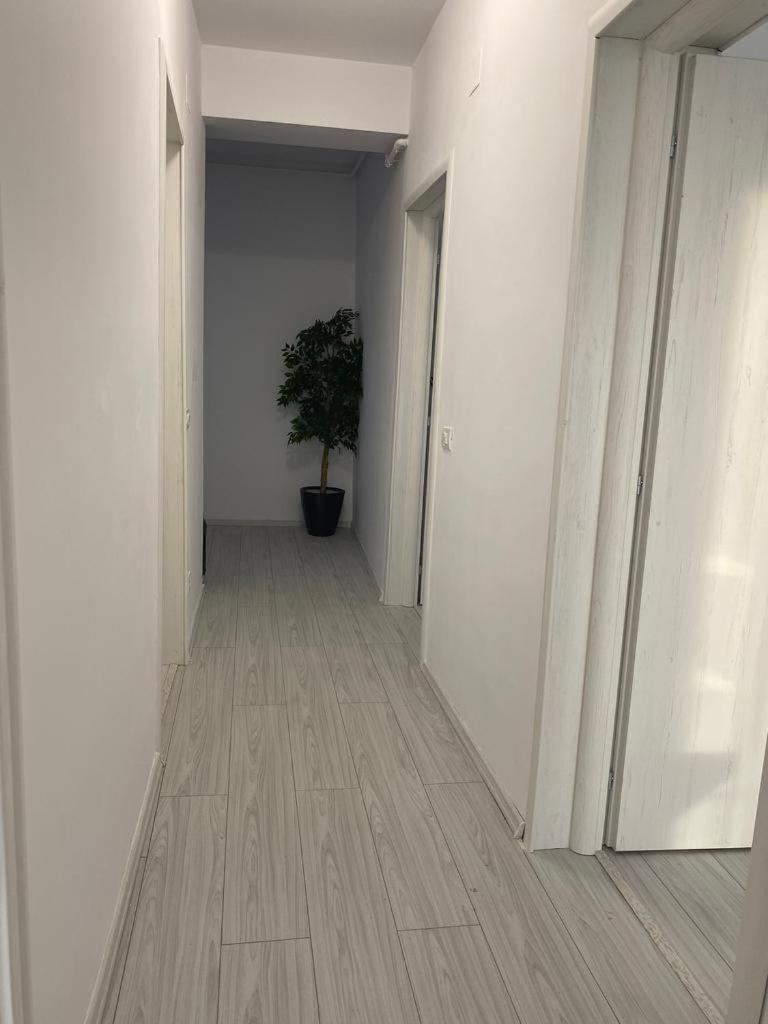 Cosy apartment 7 - Housity
