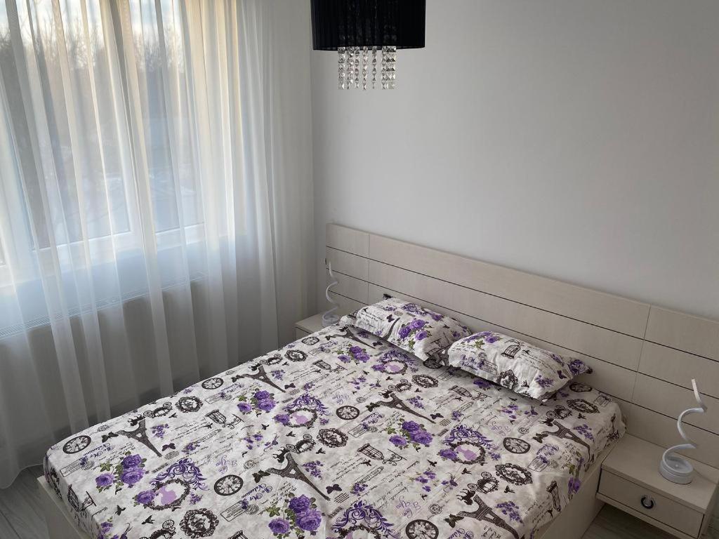 Cosy apartment 7 - Housity