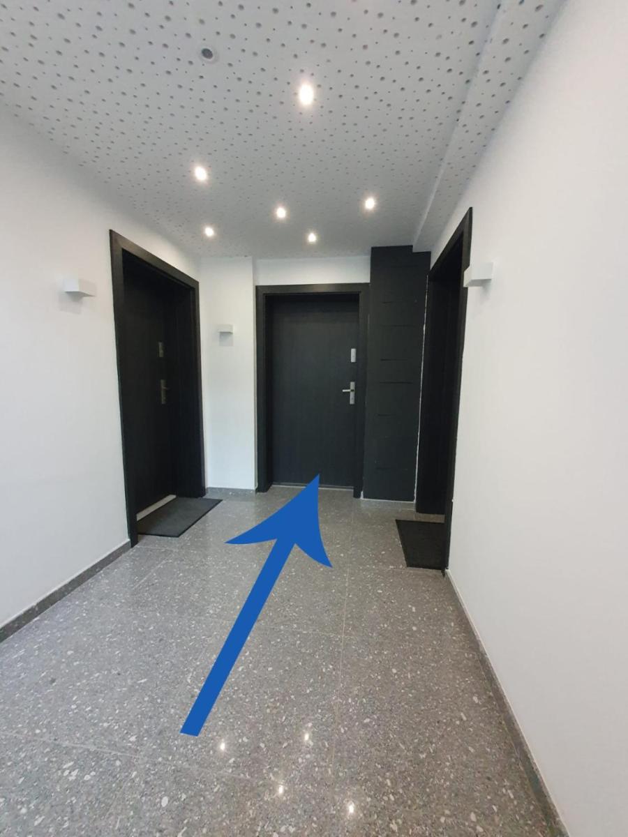 Burgundy Ploiesti Apartments - Housity