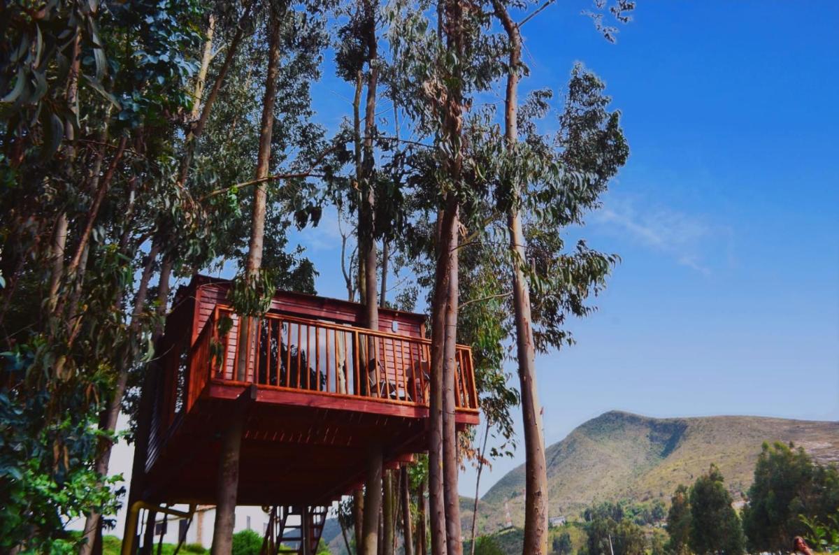 Casa en el Árbol Guatavita - Housity