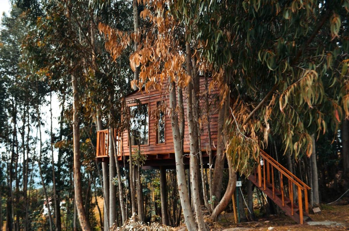 Suitetrails - Casa en el Árbol Guatavita