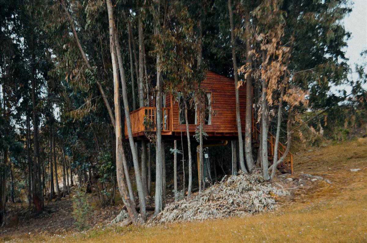Suitetrails - Casa en el Árbol Guatavita