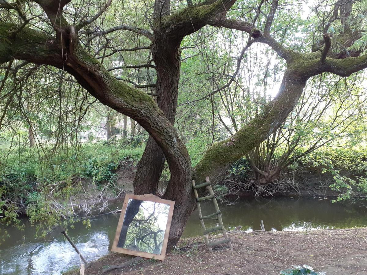 La maison du bonheur - Housity