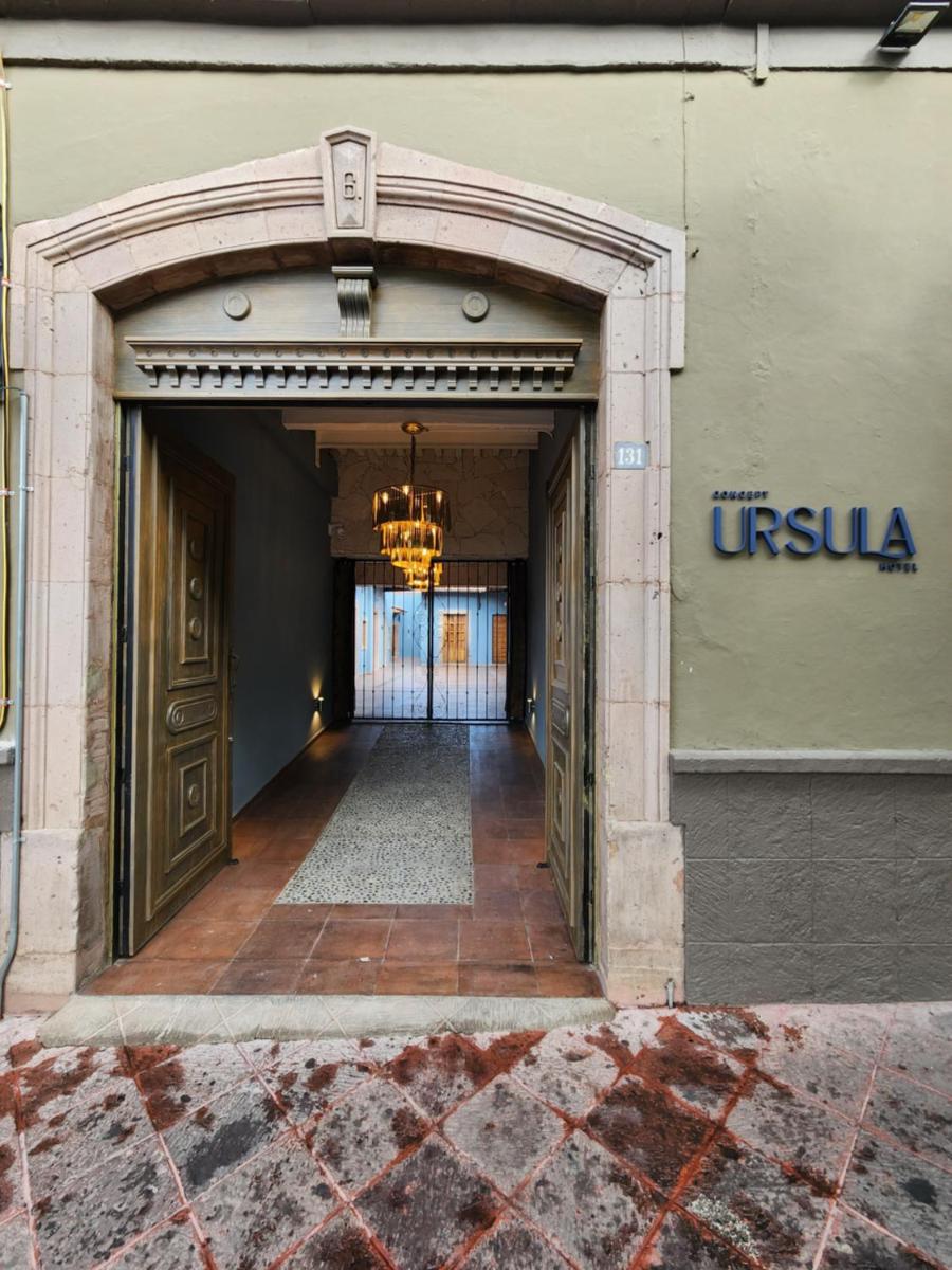 Suitetrails - Hotel Úrsula Concept