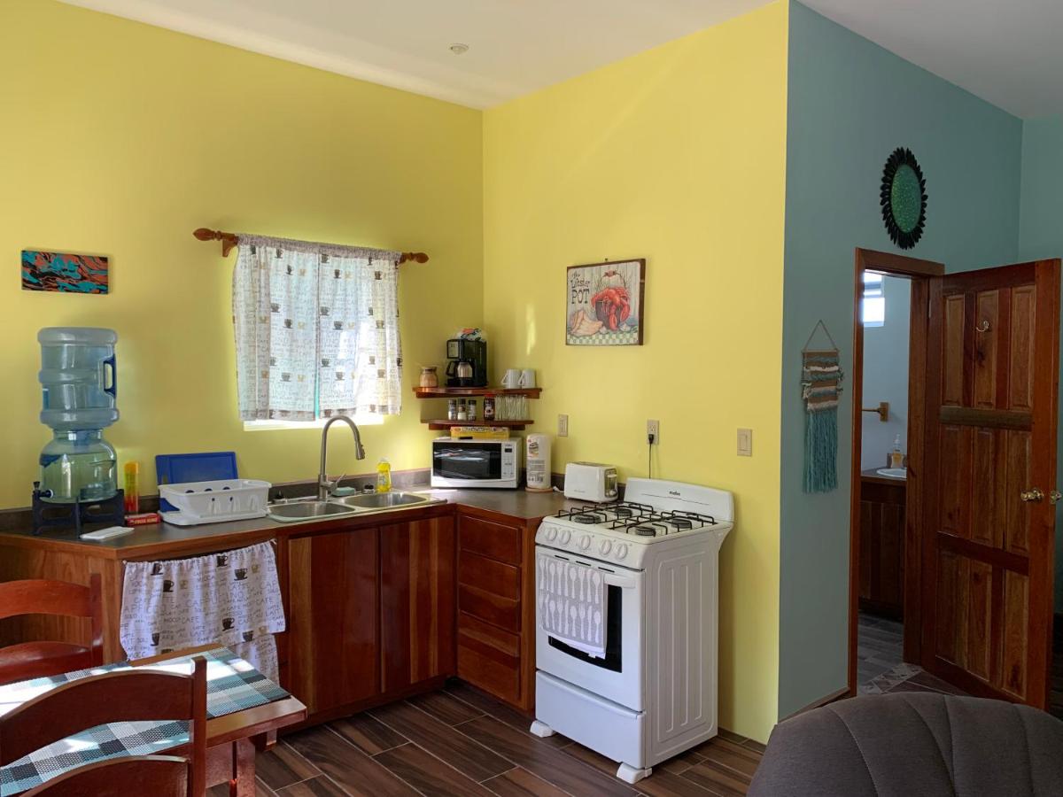 Lily Pad II - Housity