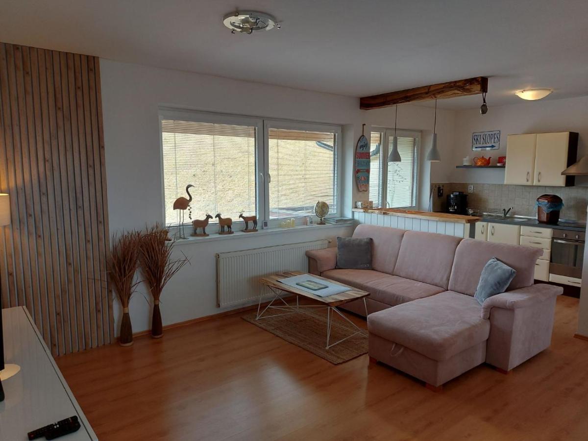 Apartment SKI-BIKE-HIKE, Vyšné Ružbachy - Housity