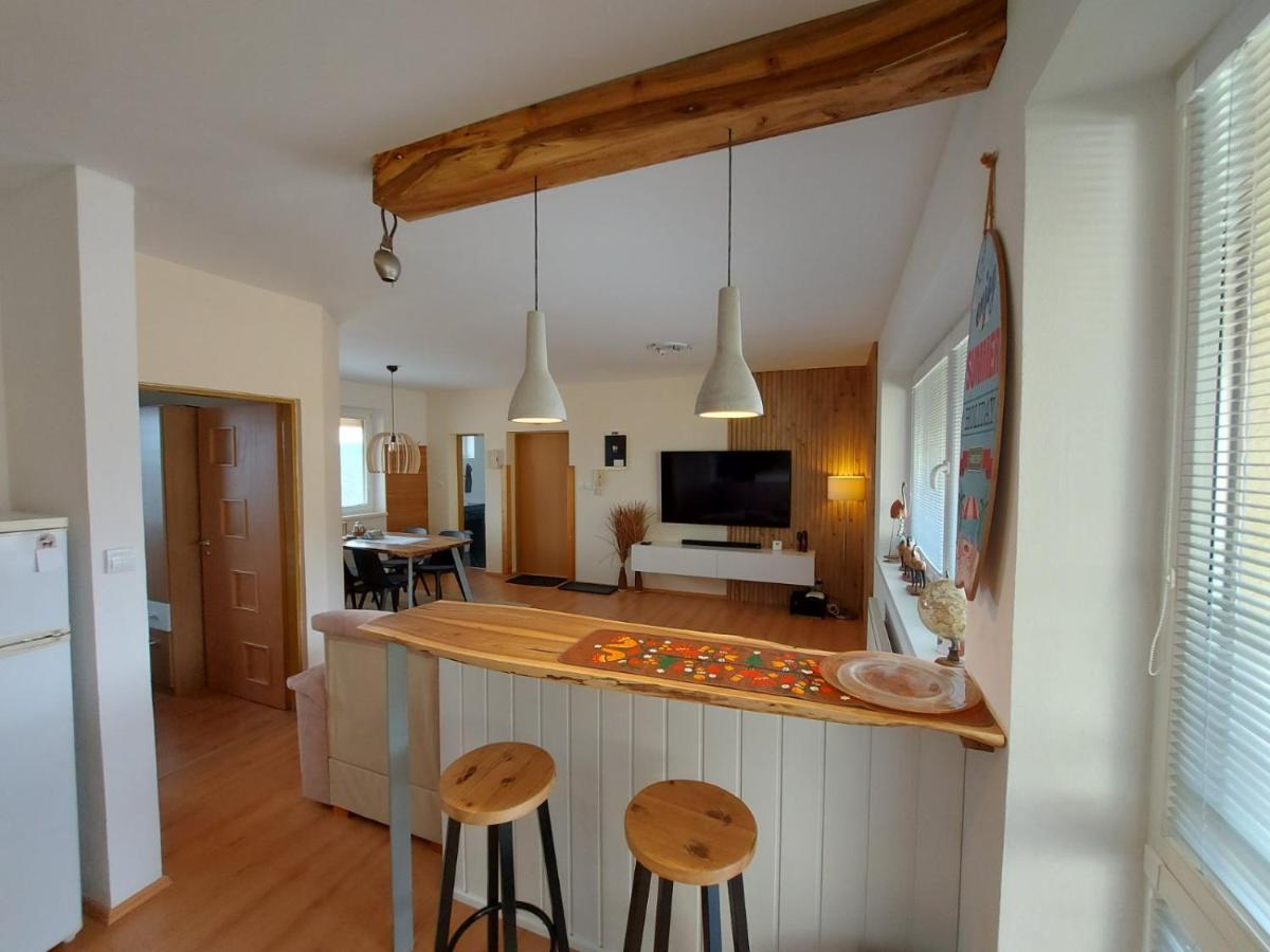 Apartment SKI-BIKE-HIKE, Vyšné Ružbachy - Housity
