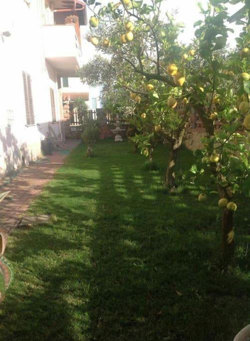 Su Suergiu - Housity