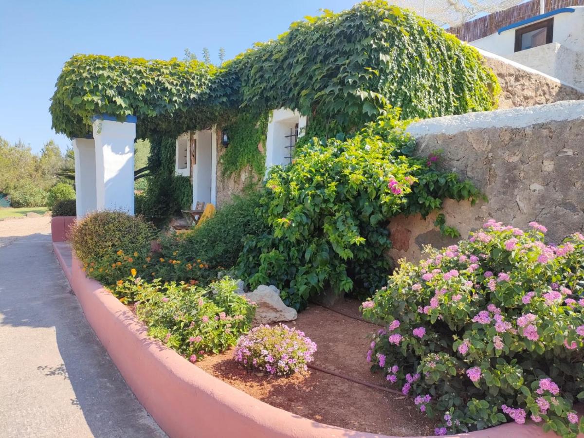Agroturismo Can Marquet - Adults Only - Housity