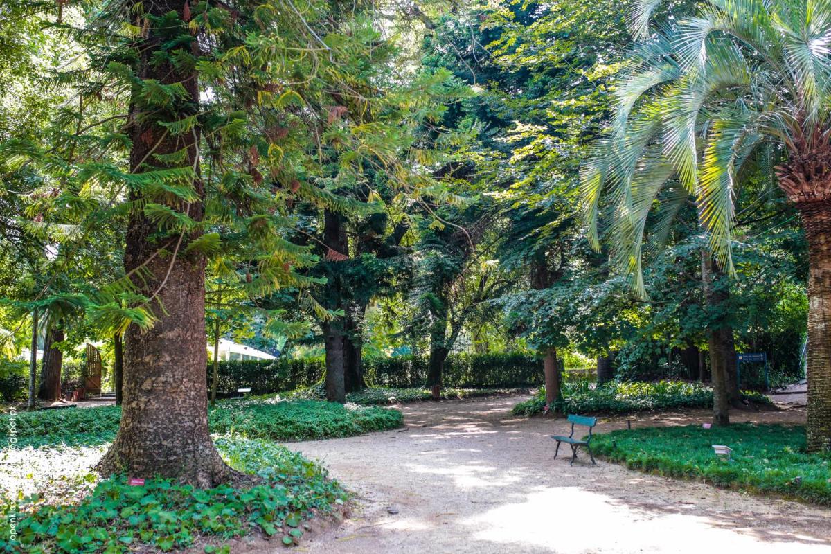 Um jardim no exterior de Hotel Quinta das Lagrimas - Small Luxury Hotels